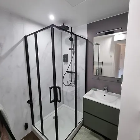 Studio Vieux Parking Prive Apartment *