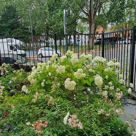 Apartment Studio Vieux Parking Prive *