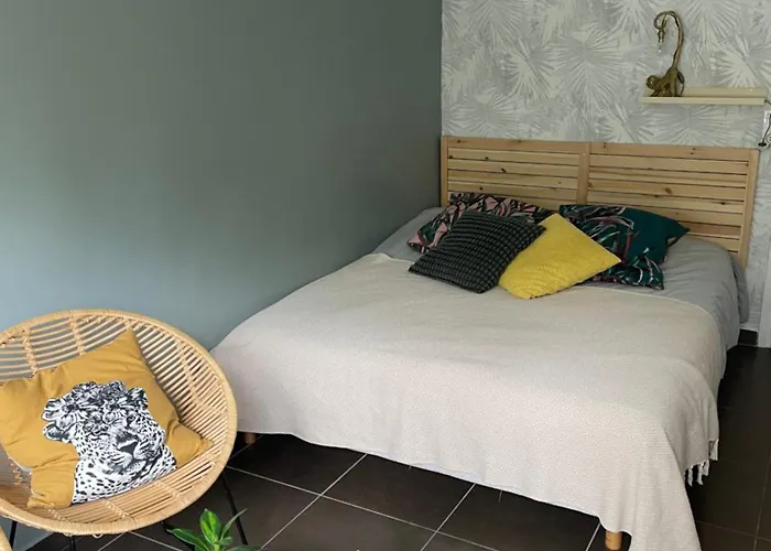 Studio Vieux Parking Prive * Lille