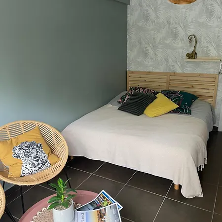 Studio Vieux Parking Prive * Lille