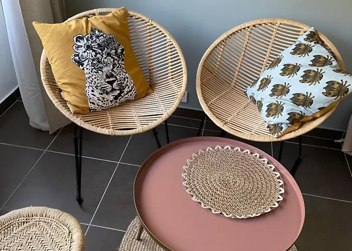 Studio Vieux Parking Prive Apartment